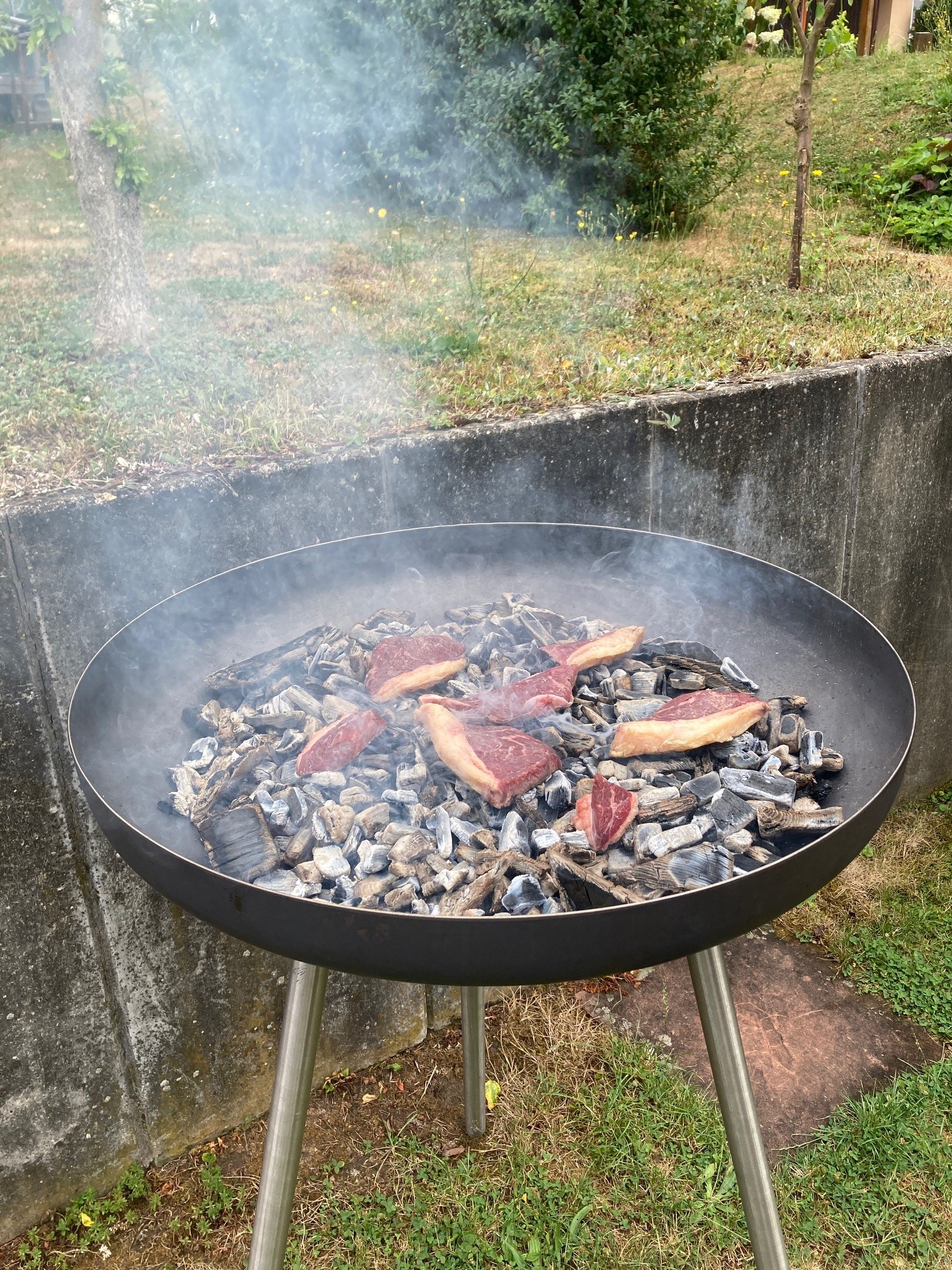 Bild5